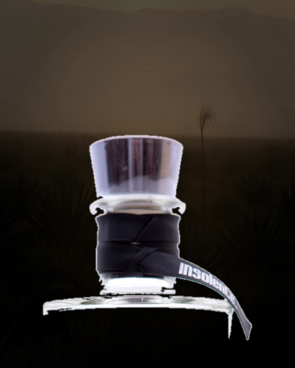 Insolente Plata bottle