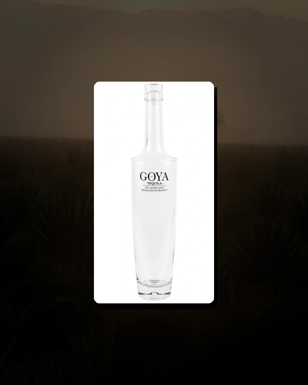 Goya Tequila Blanco bottle
