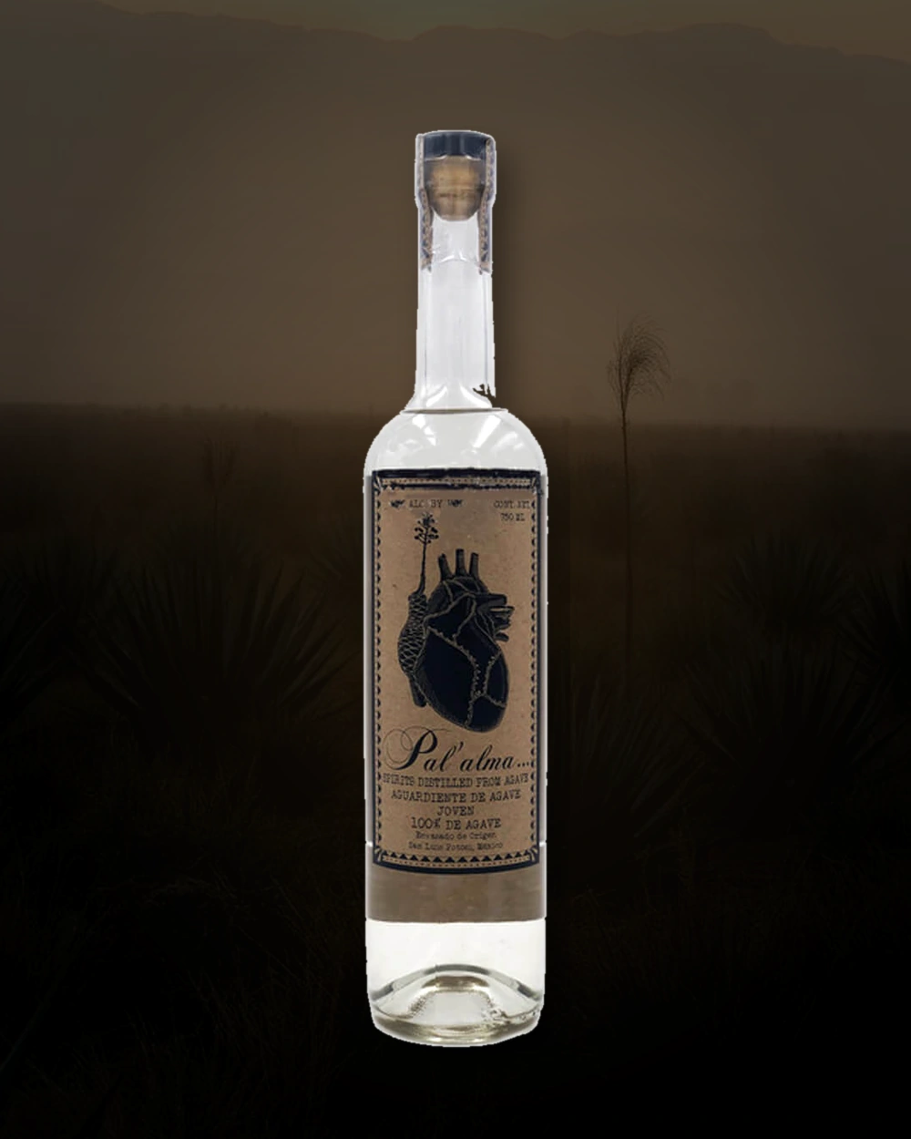 Pal’alma Oaxaca – Tobaxiche bottle