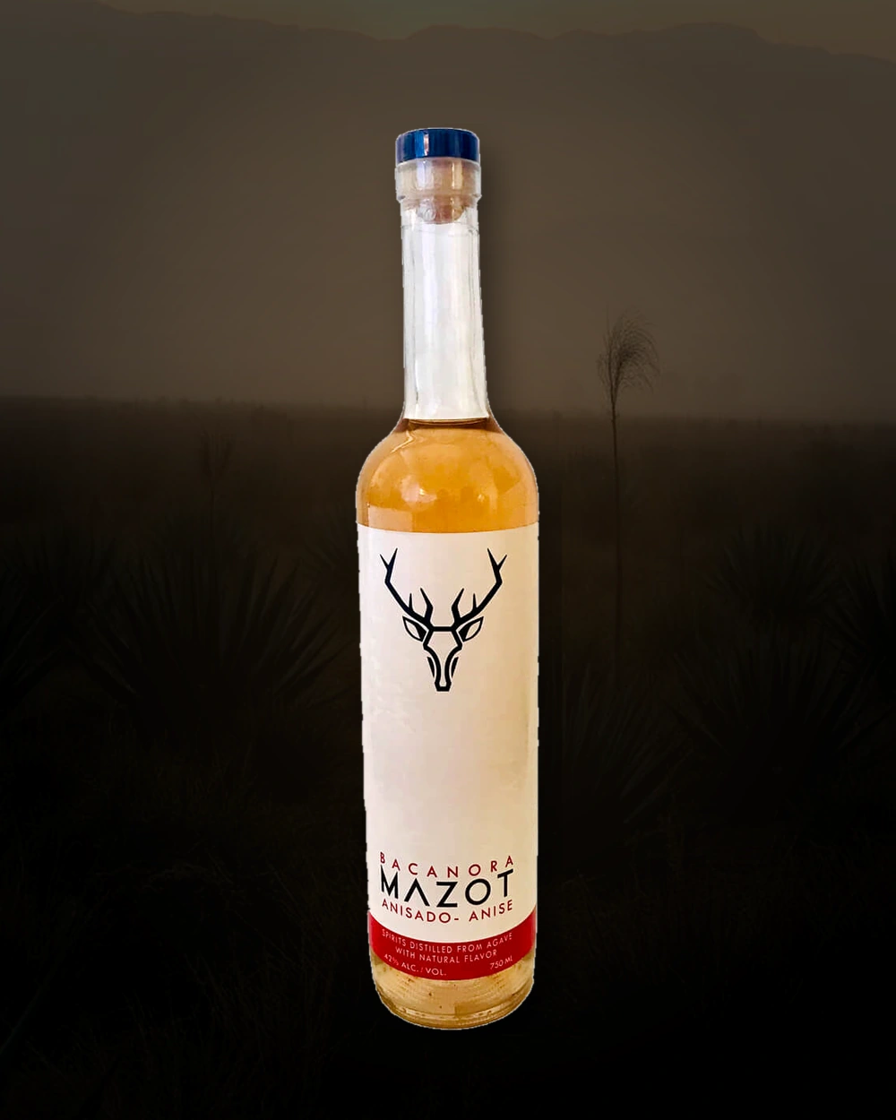Mazot Bacanora Anisado bottle
