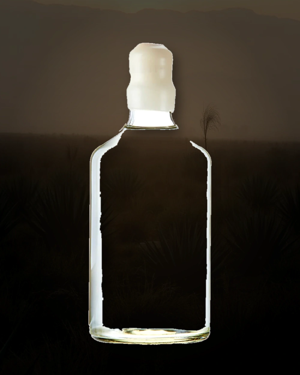 Bruxo No. 5 Tobala bottle