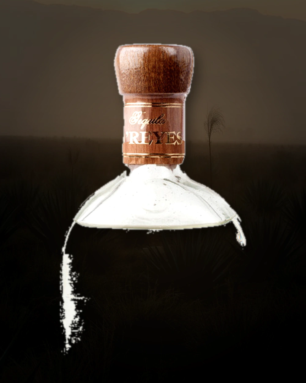 Tequila de Don Jesús Blanco bottle