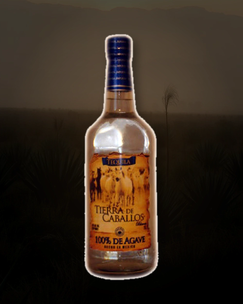 Tierra de Caballos Reposado bottle
