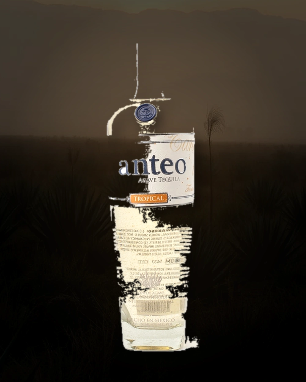 Tanteo Tropical bottle