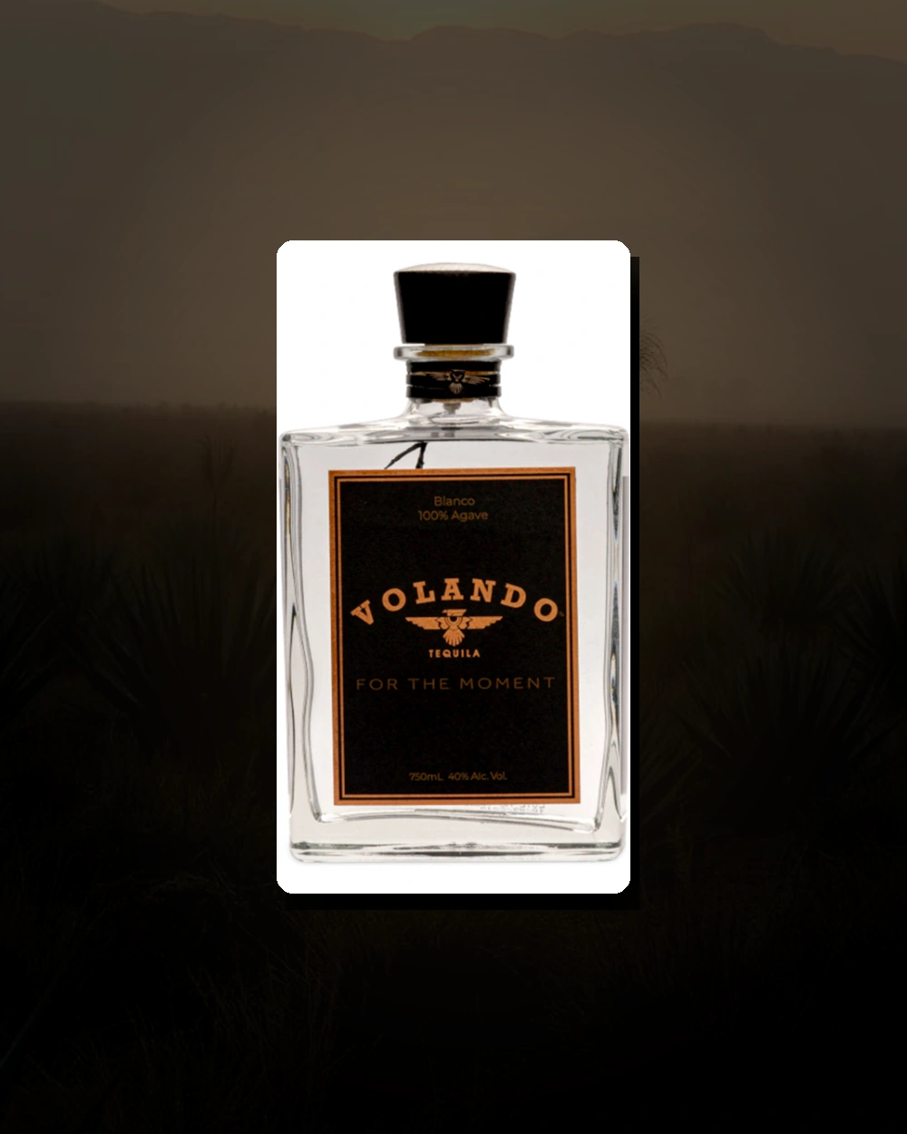Volando Tequila Blanco bottle
