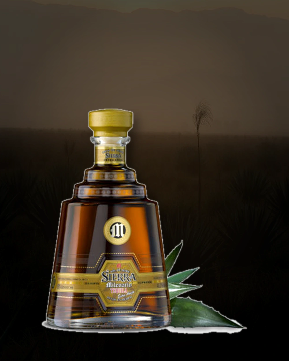 Sierra Milenario Añejo bottle