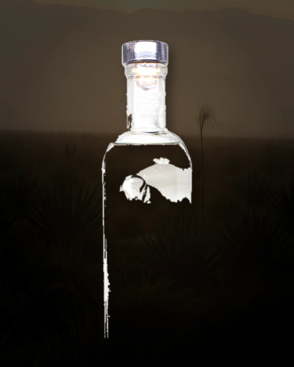 Landeros Blanco bottle
