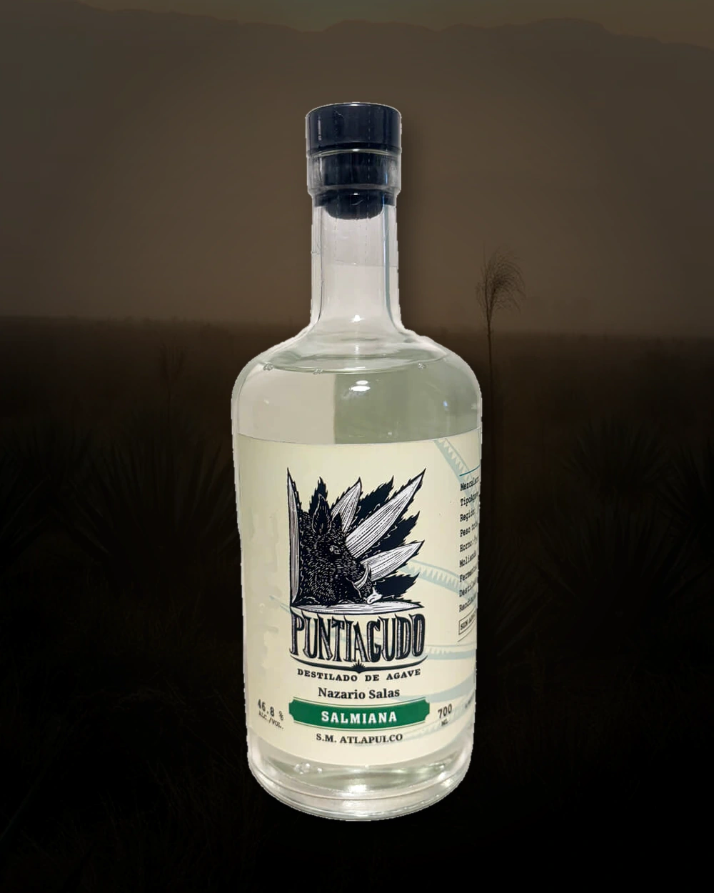 Puntiagudo Salmiana – Nazario Salas