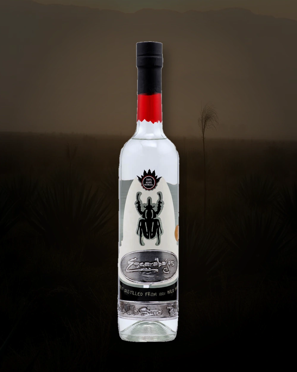 Escarabajos Raicilla de la Sierra bottle