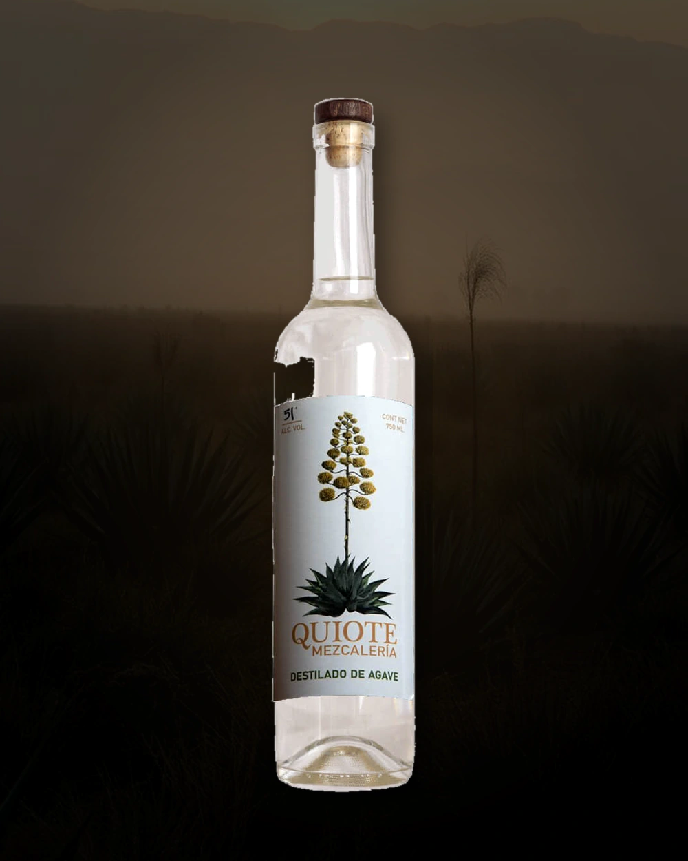 Quiote Espadilla / Pichomel – Melecio Meza