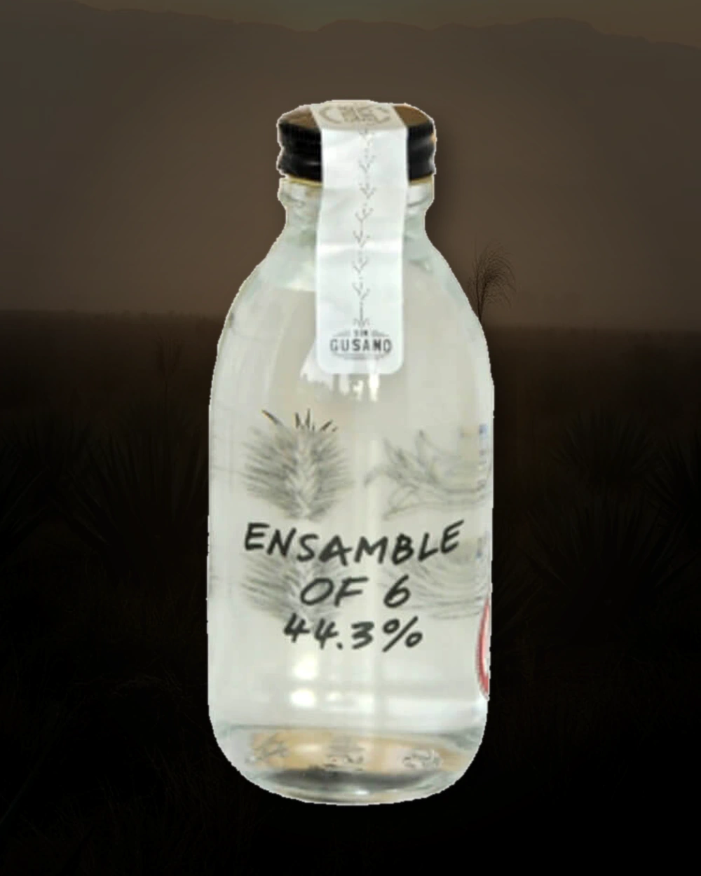 Sin Gusano Ensamble of 6 bottle