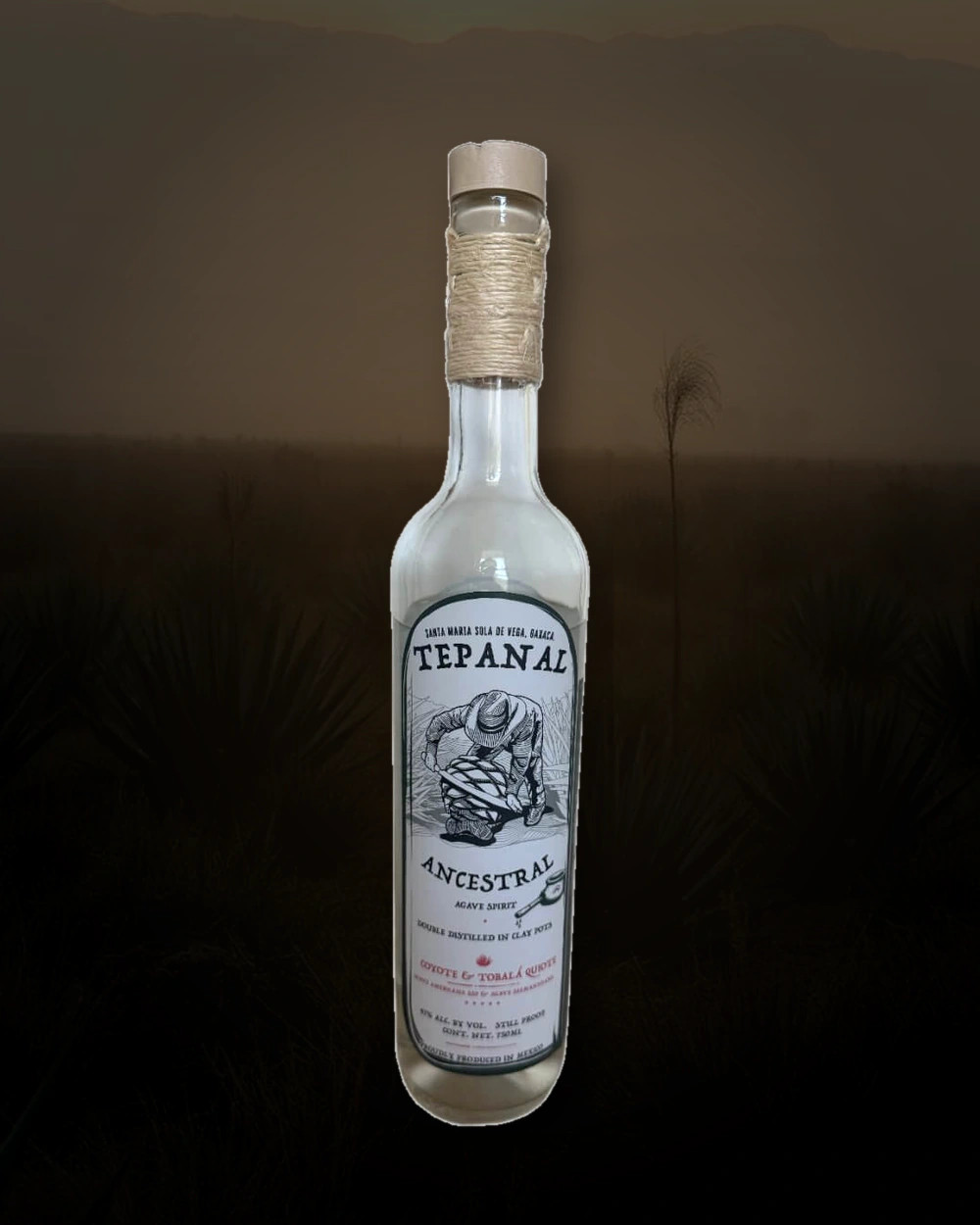 Tepanal Coyote & Tobala Quiote bottle