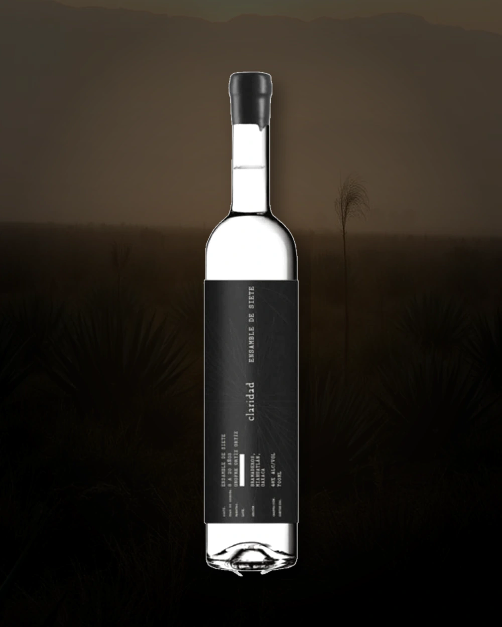 Claridad Ensamble de Siete – Onofre Ortíz bottle